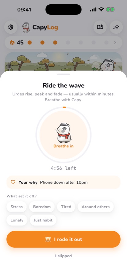 Ride the wave sheet